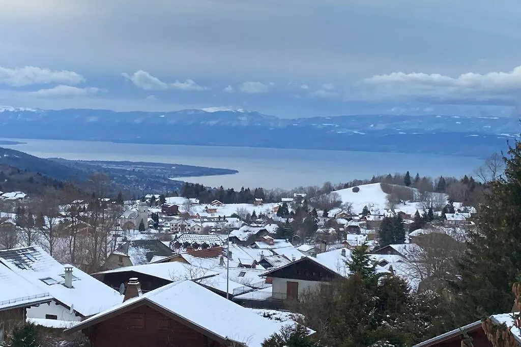 Appartement Duplex en station vue sur lac Leman Thollon-les-Mémises