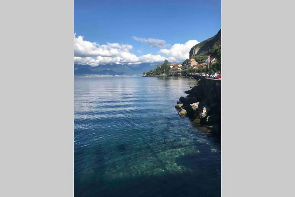 Duplex en station vue sur lac Leman Thollon-les-Mémises 0*,