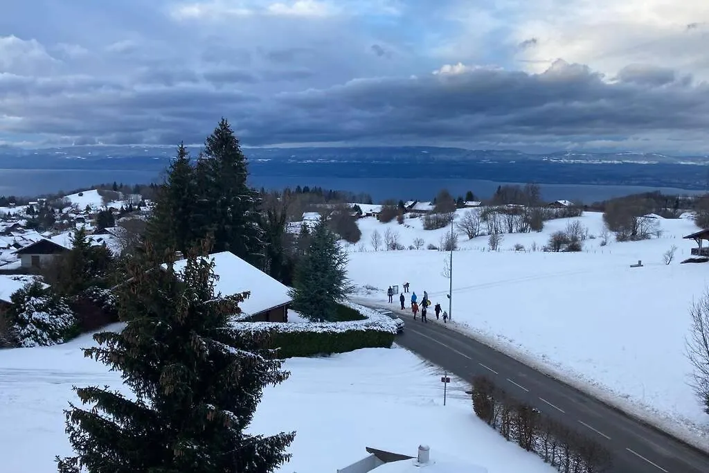 Duplex en station vue sur lac Leman Thollon-les-Mémises 0*,