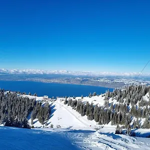Typique De Montagne Thollon-les-Mémises