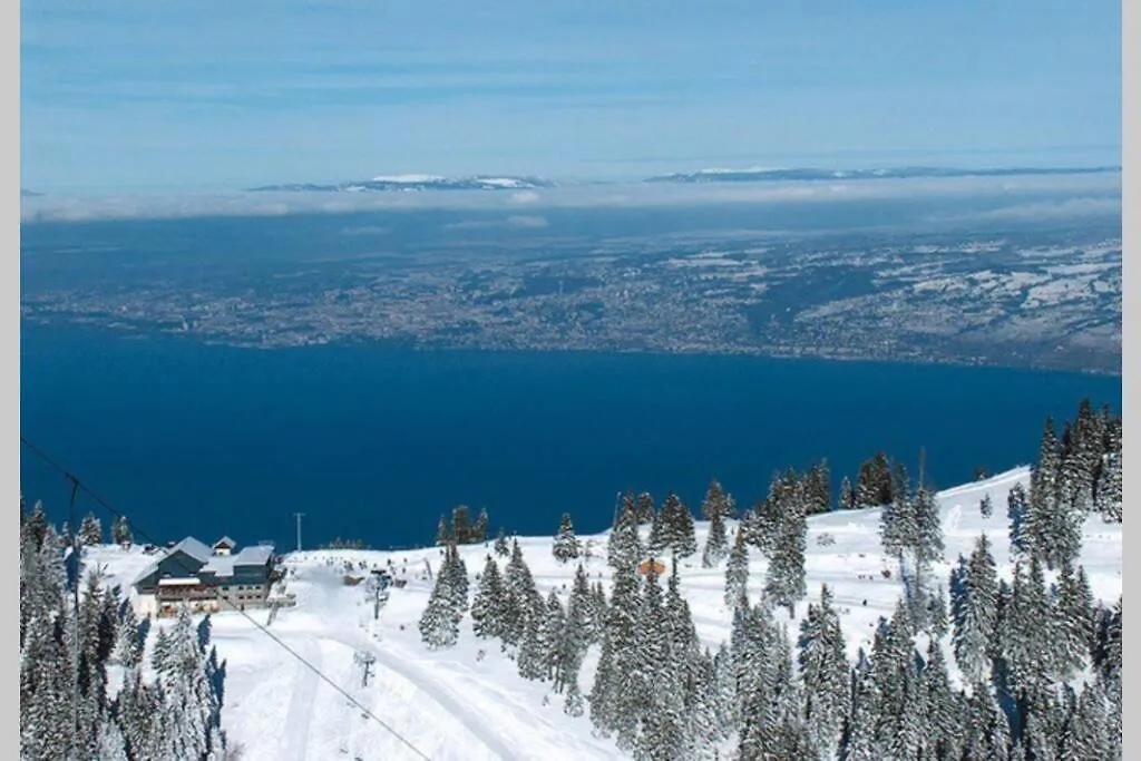 Duplex En Station Vue Sur Lac Leman Thollon-les-Memises