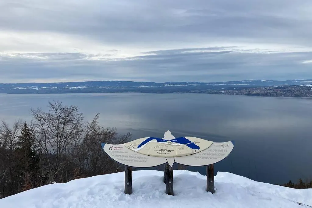 Duplex En Station Vue Sur Lac Leman Thollon-les-Memises