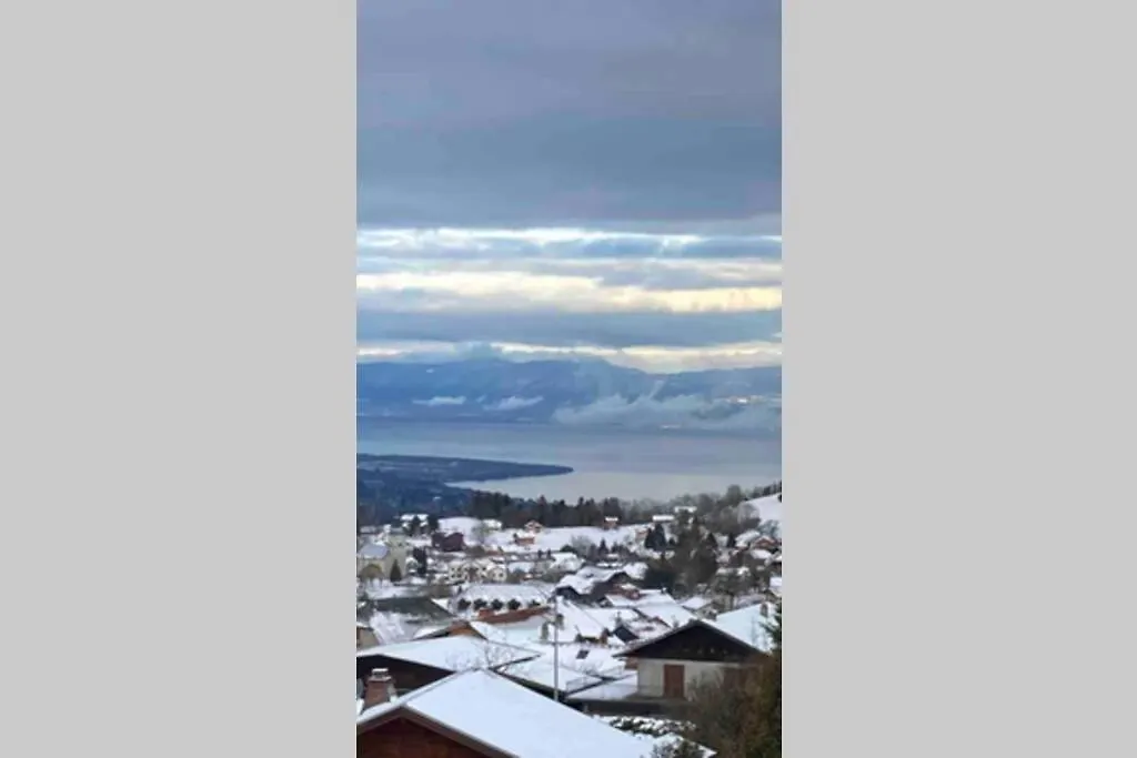 Duplex En Station Vue Sur Lac Leman Thollon-les-Memises