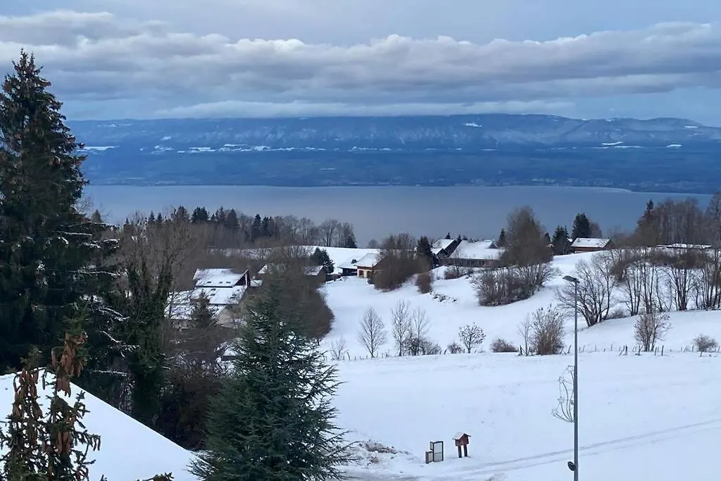 Duplex En Station Vue Sur Lac Leman Thollon-les-Memises 0*,  France